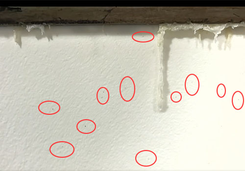 螺杆清洗料&middot;片材机黑点积碳清洗测试分享